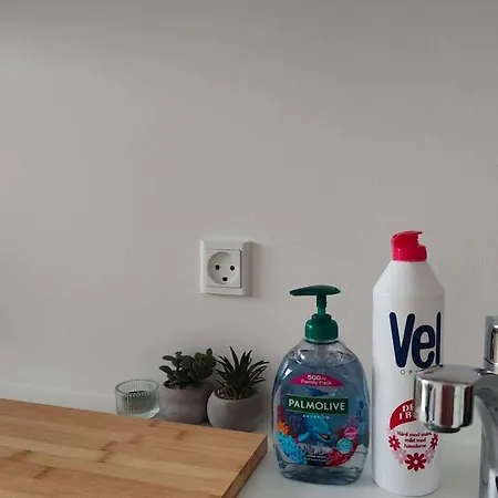Lille Nest Apartment *
